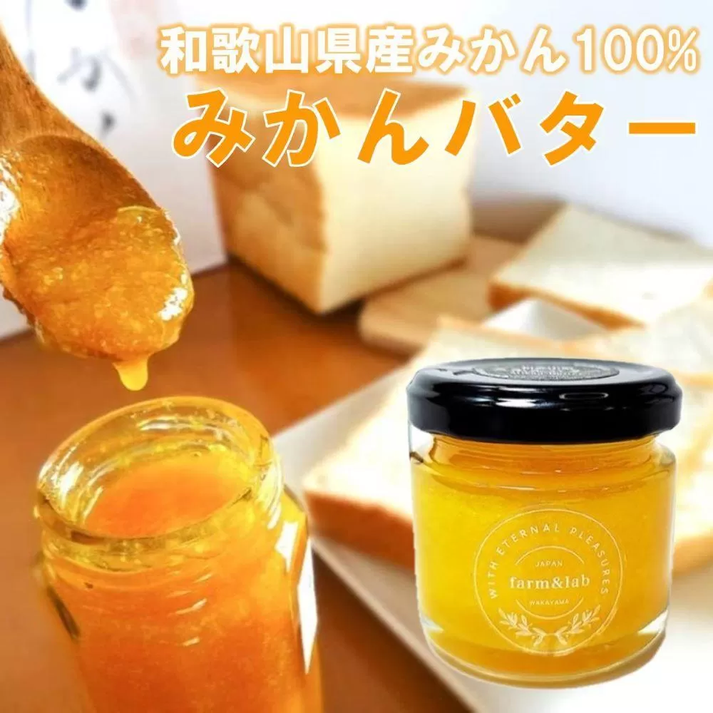 和歌山県 みかんバター 320g(80g×4瓶)