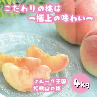 フルーツ王国 和歌山 の 桃 約4kg（fr-07）_ 先行予約 2025年6月中旬から7月下旬発送【MS108】