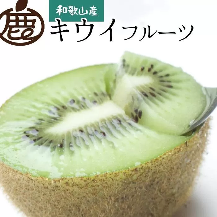 ［先行予約］家庭用 キウイ5kg+250g（傷み補償分）【わけあり・訳あり・扁平果】［IKE104］