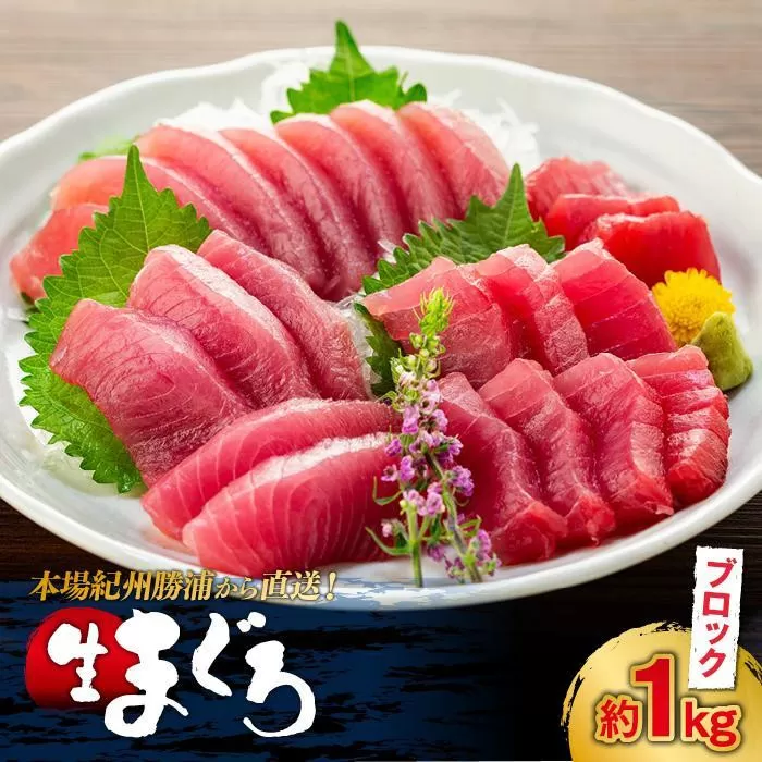 生まぐろの本場紀州勝浦から直送！生メバチマグロ 約1kg