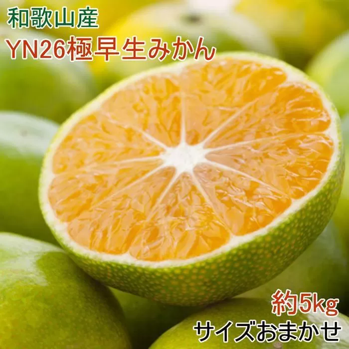 【産直】YN26極早生みかん約5kg（2S～Mサイズおまかせ）★2025年9月中旬頃より順次発送【TM13】