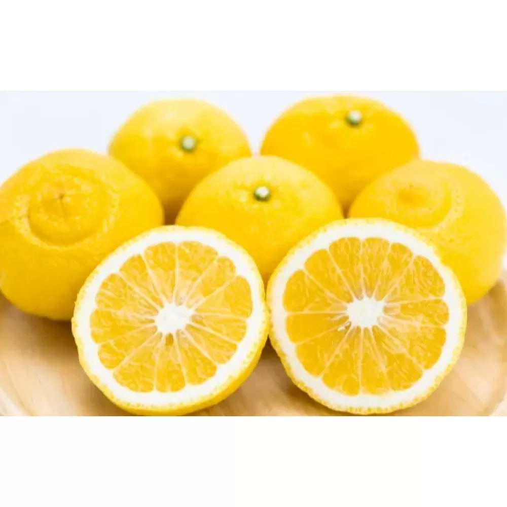 訳あり 森本農園の手選別 はるか 約6kg 和歌山県産 サイズ混合［北海道・沖縄・離島配送不可］［RN160］