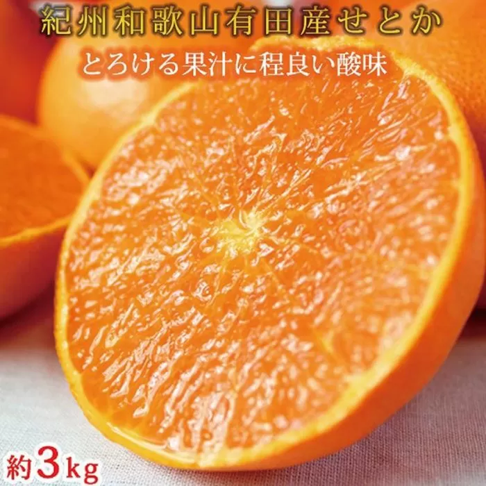 紀州有田産せとか約3kg　とろける食感！ジューシー柑橘［2026年2月下旬以降発送］［先行予約］［UT03］