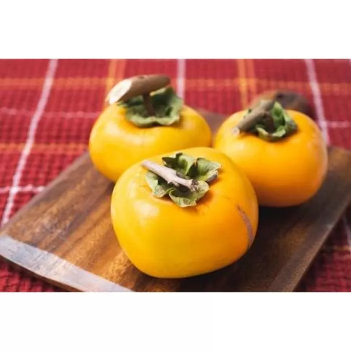 吊るし柿用たね無渋柿T軸又はクリップ付紐付約4.5〜5kg　約24〜30個＜2026年10月中旬〜11月上旬ごろ順次発送＞【ART13】