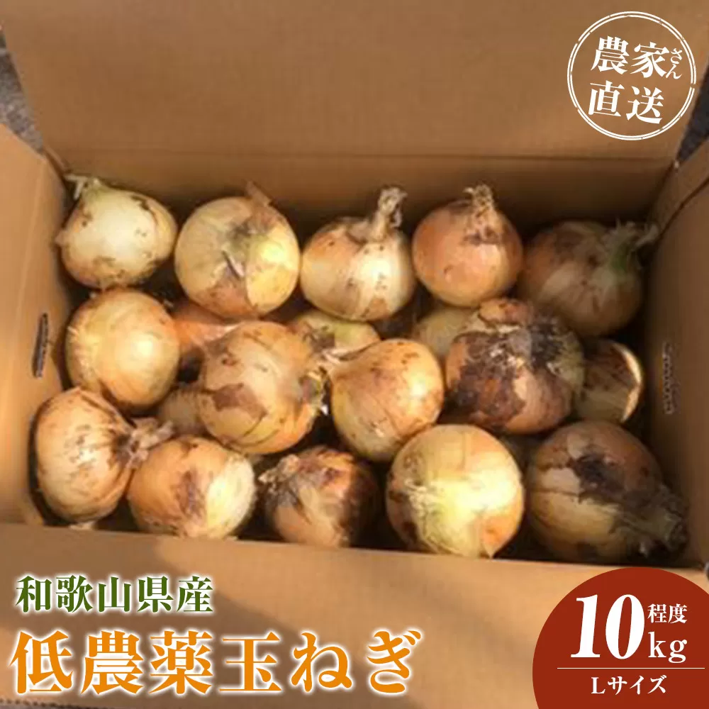 ［2026年発送分・先行予約］農家さん直送 低農薬玉ねぎ Lサイズ 10kg程度［4月中旬〜7月中旬頃発送予定］［KF16］