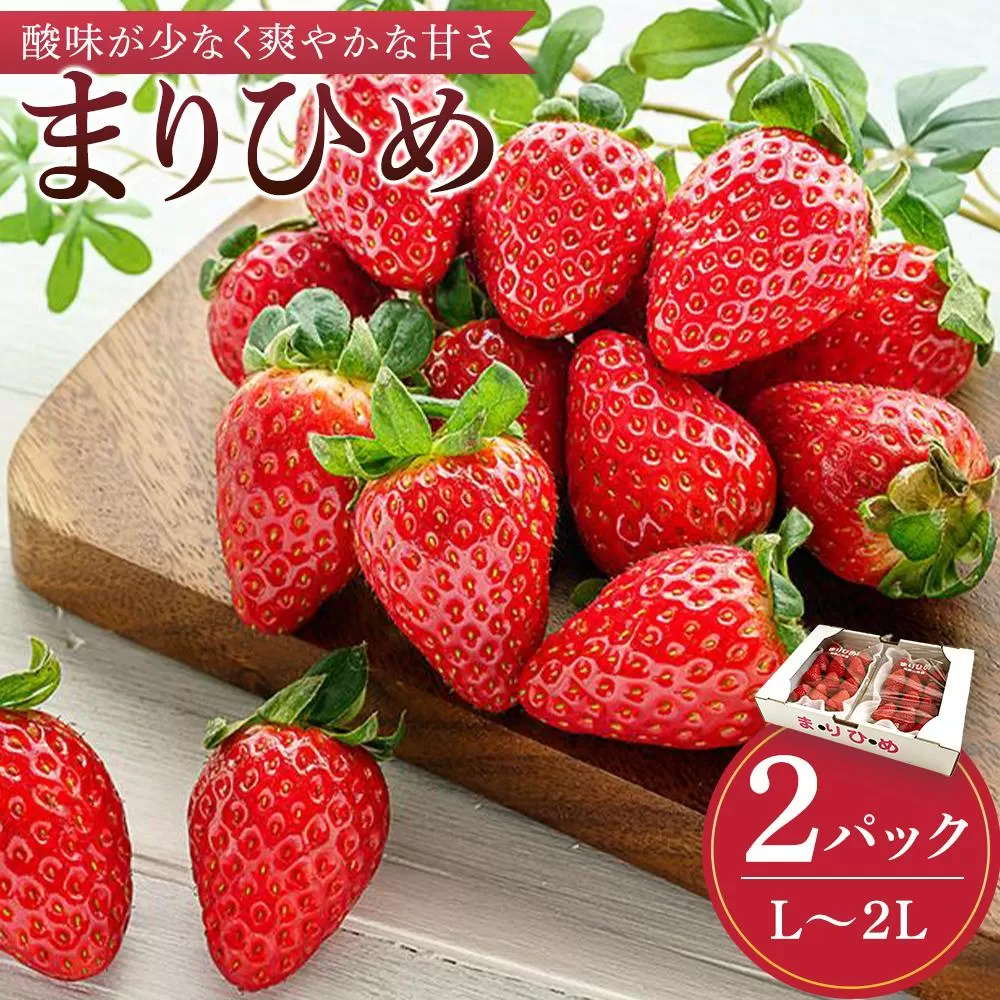 まりひめイチゴ L〜２L 12粒〜15粒×2パック［2026年1月中旬から発送］［先行販売］［KG7］