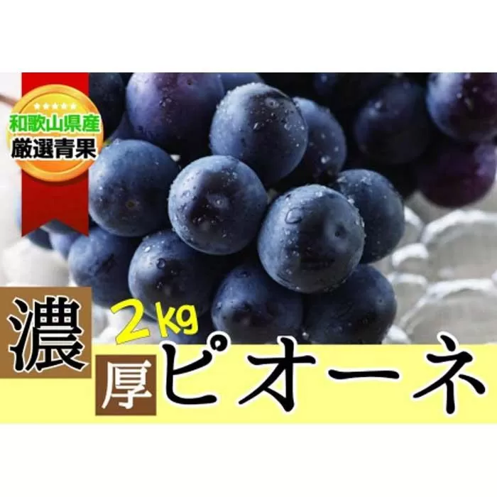 【甘さとみずみずしさが自慢】種なしピオーネ＜ぶどう約２kg＞★8月下旬から9月中旬発送★【KF10】