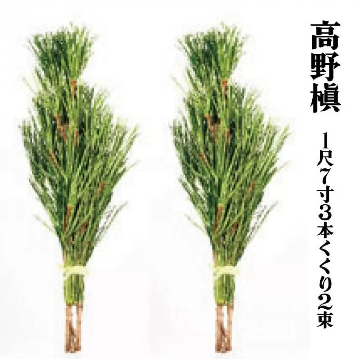 ◇高野槇　１尺７寸３本くくり２束