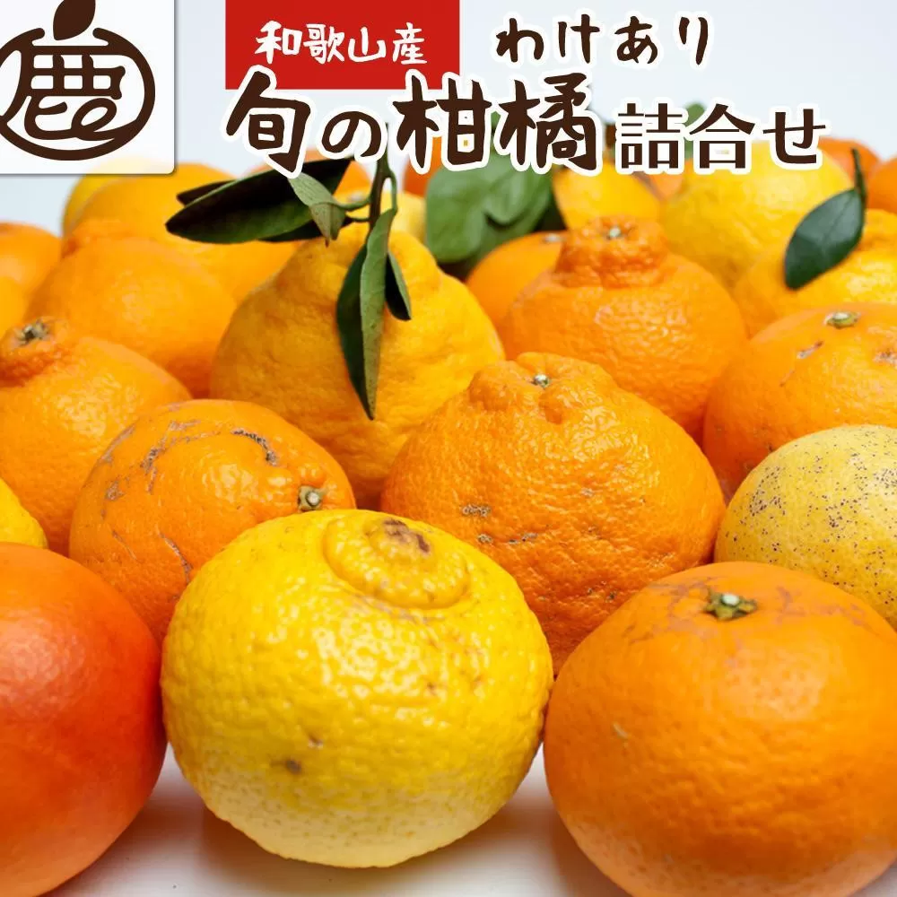 ［先行予約］家庭用 柑橘詰合せ10kg+250g（傷み補償分）［訳あり・わけあり］［有田の春みかん詰め合わせ・フルーツ詰め合せ・オレンジつめあわせ］［光センサー選別］［IKE261］