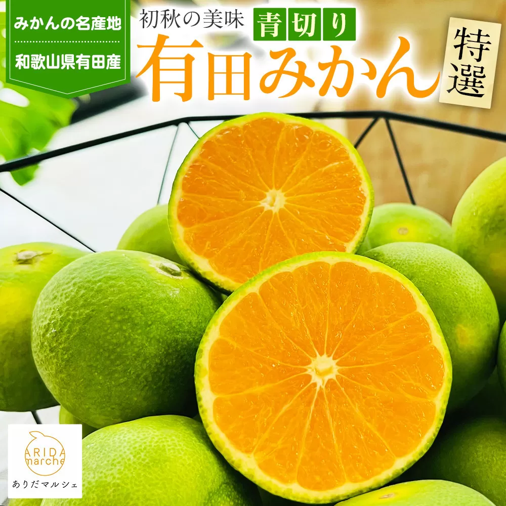 特選 青切り有田みかん 約2kg ［2025年9月中旬より発送］［MS20］