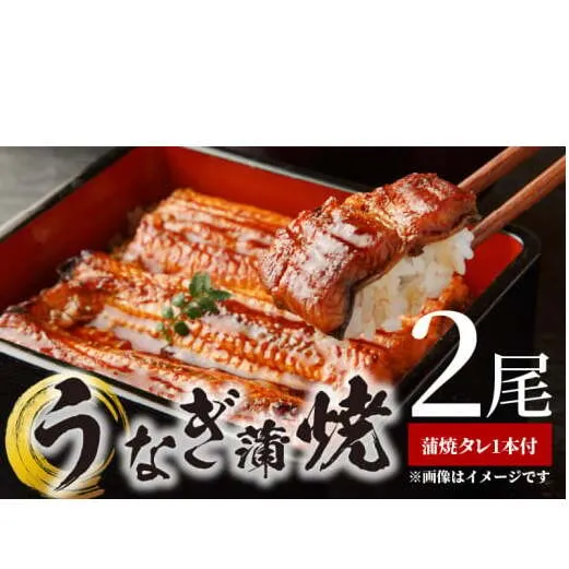 BC6006_うなぎ蒲焼 2本 角長特製蒲焼タレ 1本 セット 国産 安全 ふっくら うなぎ こだわり 蒲焼き 蒲焼 タレ うな丼 うな重 ひつまぶし う巻き うなむすび 土用 丑の日 水産加工品 魚介 海鮮 海産物 冷凍 和歌山県 湯浅町 お取り寄せ お取り寄せグルメ 送料無料