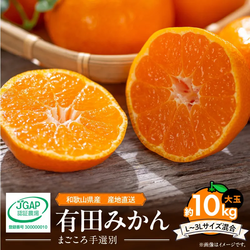 ZE6045n_【2025年先行予約】和歌山県産 有田みかん 10kg 大玉(L～3Lサイズ混合)【まごころ手選別】