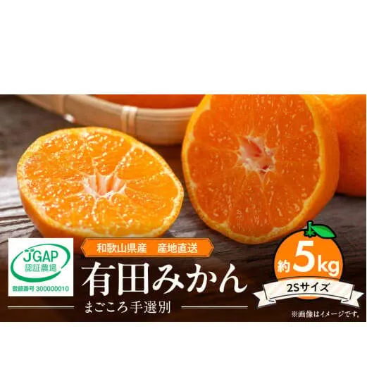 ZE6052n_【2025年先行予約】和歌山県産 有田みかん 5kg 2Sサイズ【まごころ手選別】