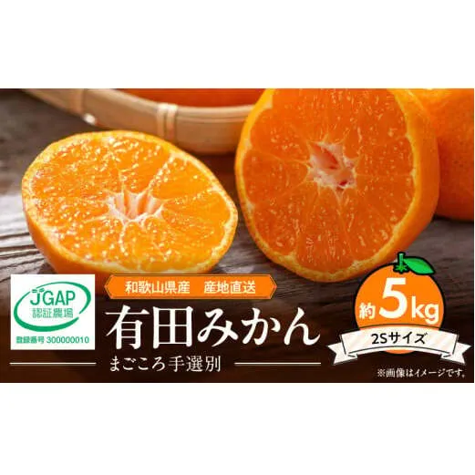 ZE6052n_和歌山県産 有田みかん 5kg 2Sサイズ【まごころ手選別】
