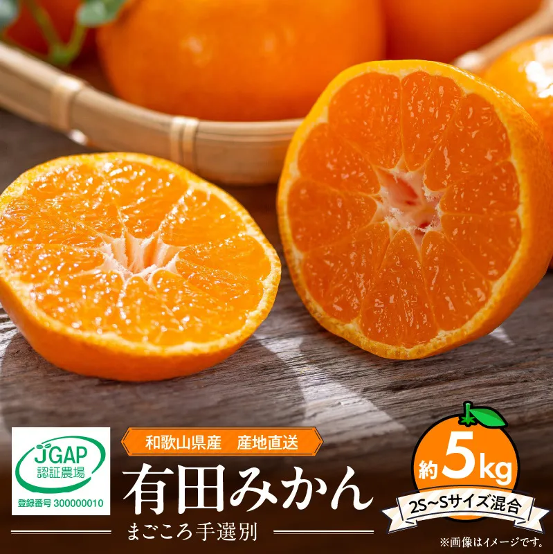ZE6053n_【2025年先行予約】和歌山県産 有田みかん 5kg 2S～Sサイズ混合【まごころ手選別】