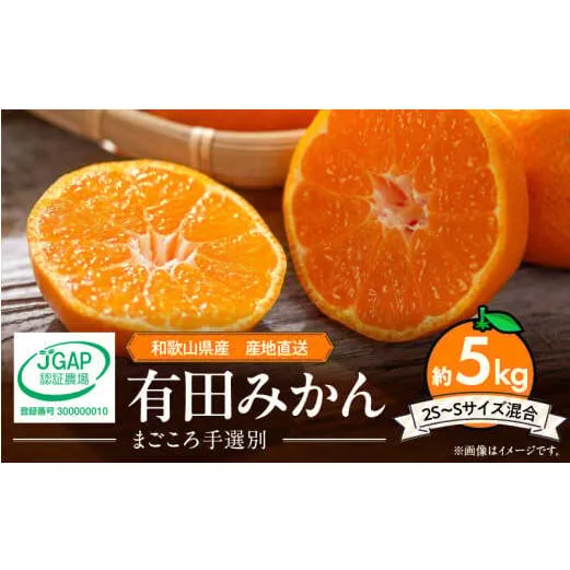 ZE6053n_【2025年先行予約】和歌山県産 有田みかん 5kg 2S～Sサイズ混合【まごころ手選別】