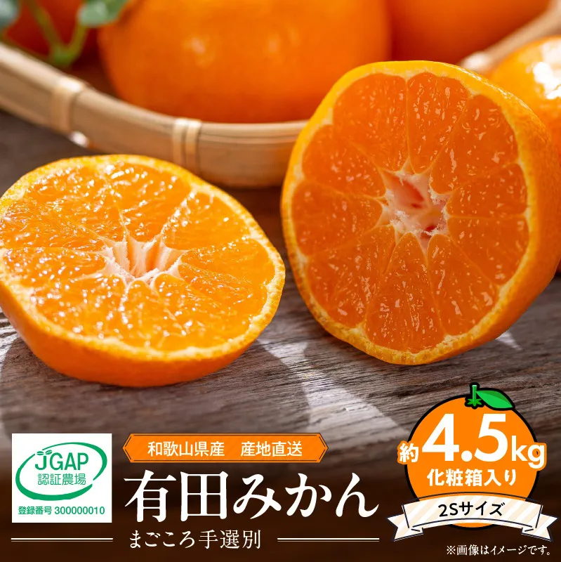 ZE6057n_【2025年先行予約】有田みかん 化粧箱 約4.5kg 2Sサイズ【まごころ手選別】