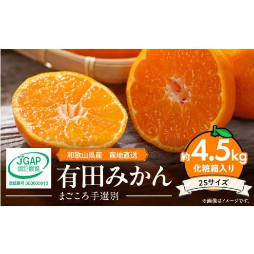 ZE6057n_有田みかん 化粧箱 約4.5kg 2Sサイズ【まごころ手選別】