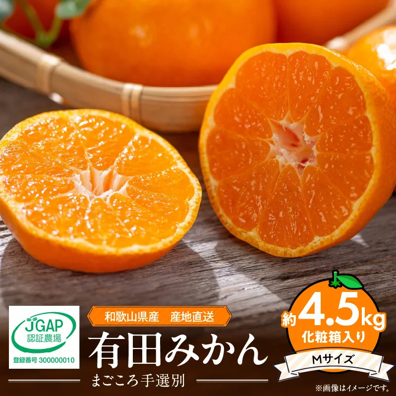ZE6059n_【2025年先行予約】和歌山県産 有田みかん 化粧箱 約4.5kg Mサイズ【まごころ手選別】