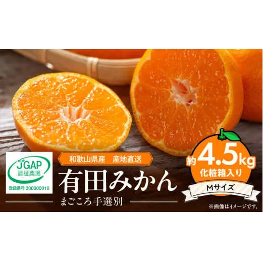 ZE6059n_和歌山県産 有田みかん 化粧箱 約4.5kg Mサイズ【まごころ手選別】