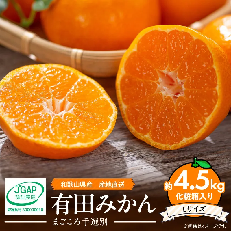 ZE6060n_【2025年先行予約】和歌山県産 有田みかん 化粧箱 約4.5kg Lサイズ【まごころ手選別】