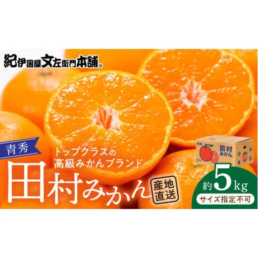 V7450_田村みかん／5kg青秀／サイズ指定なし