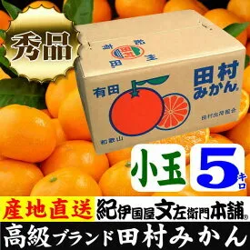 V7452_田村みかん／5kg秀品【小玉サイズ】