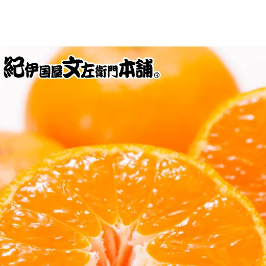 【2026年先行予約】田村みかん／5kg秀品【小玉サイズ】_V7452