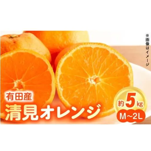 ZN6001n_【2026年先行予約】和歌山県有田産 完熟 清見オレンジ 5kg ひとつひとつ丁寧に厳選！生産者から直送【清見 みかん オレンジ タンゴール きよみ 柑橘 和歌山 有田】