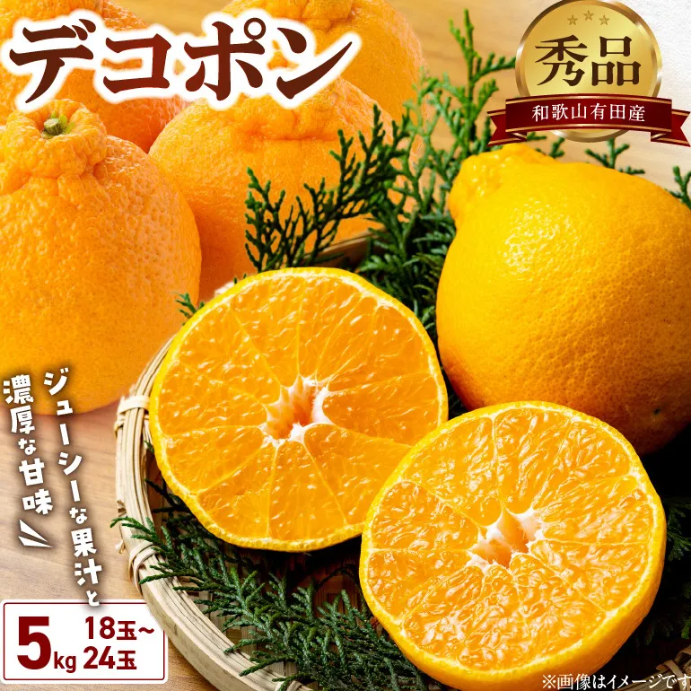 BD6004n_【2026年先行予約】和歌山有田産 デコポン秀品のみ！ 5kg