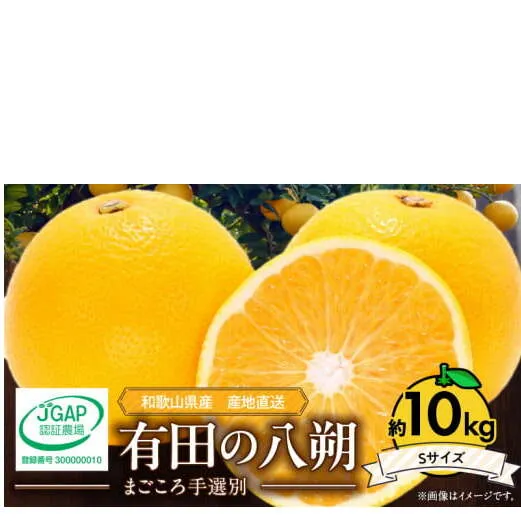 ZE6073n_【2026年先行予約】有田の八朔 (はっさく) 10kg（Sサイズ）まごころ手選別