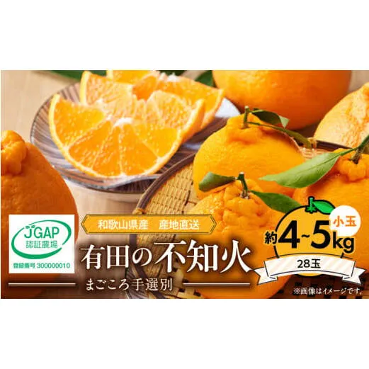 ZE6101n_【2026年先行予約】有田の不知火(しらぬひ）約4kg～5kg　小玉28玉（Sサイズ）まごころ手選別