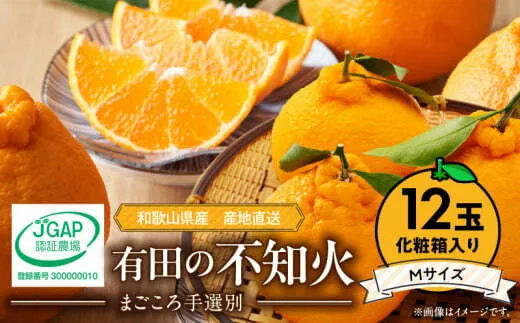 ZE6104n_【2026年先行予約】有田の不知火(しらぬひ）【化粧箱】 12玉（Mサイズ）まごころ手選別
