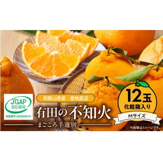 ZE6104n_【2026年先行予約】有田の不知火(しらぬひ）【化粧箱】 12玉（Mサイズ）まごころ手選別