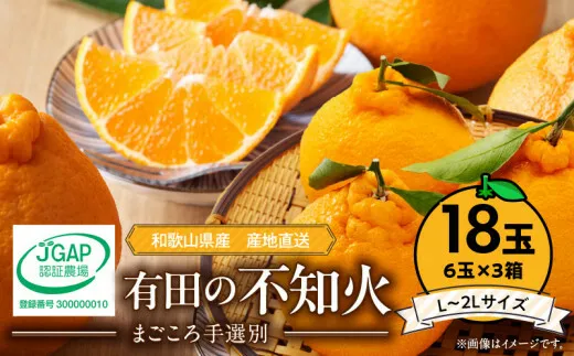 ZE6112n_【2026年先行予約】有田の不知火(しらぬひ)　6玉× 3箱（L～2Lサイズ）まごころ手選別