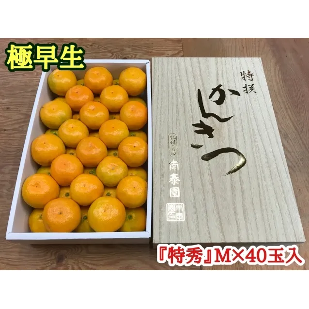 極早生・有田みかん 化粧箱 約3kg『特秀』Mサイズ40玉入_ZF6001n