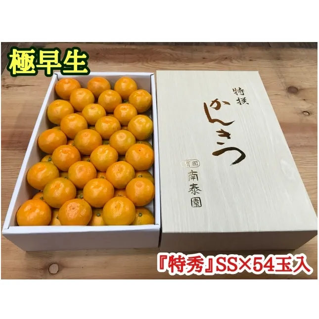 極早生・有田みかん 化粧箱 約3kg『特秀』SSサイズ54玉入_ZF6003n