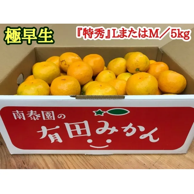 極早生・有田みかん 約5kg『特秀』(LまたはMサイズ)_ZF6012n