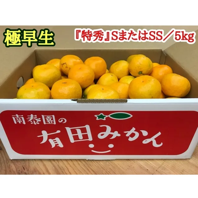 極早生 有田みかん 約5kg 特秀 S.SS_ZF6013n