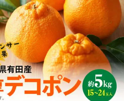 AB6175n_【2026年先行予約】和歌山有田の 濃厚 デコポン 5kg デコポン 約 5kg 15～24玉 サイズ おまかせ 糖度 13度以上 光センサー 選果 こだわり 厳選 濃厚 甘さ 適度 酸味 不知火 フルーツ 果物 デザート 柑橘 果実 濃厚 甘味 国産 食品 食べ物 お取り寄せ お取り寄せフルーツ 和歌山県 湯浅町 送料無料