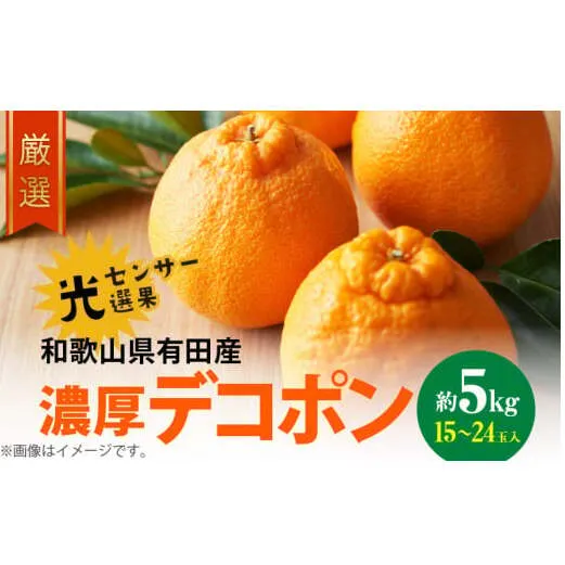 AB6175n_【2027年先行予約】和歌山有田の 濃厚 デコポン  約5kg 15～24玉 サイズ おまかせ 糖度 13度以上 光センサー 選果 こだわり 厳選 濃厚 甘さ 適度 酸味 不知火 フルーツ 果物 デザート 柑橘 果実 濃厚 甘味 国産 食品 食べ物 お取り寄せ お取り寄せフルーツ 和歌山県 湯浅町 送料無料
