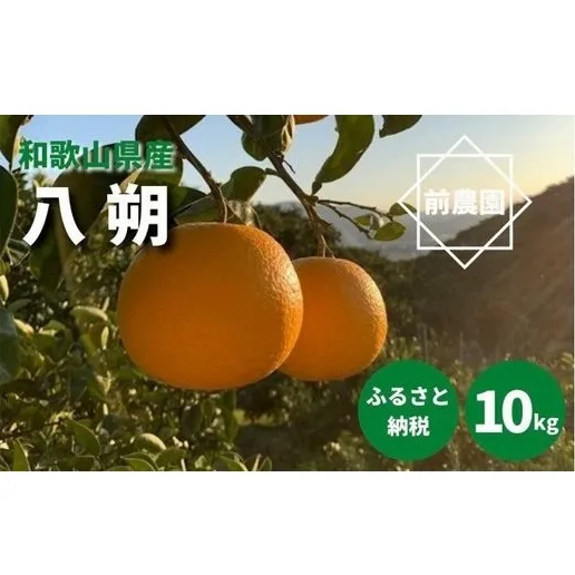 BL6010n_【2026年先行予約】【産地直送】和歌山県産 八朔 10kg (M～3Lサイズ)