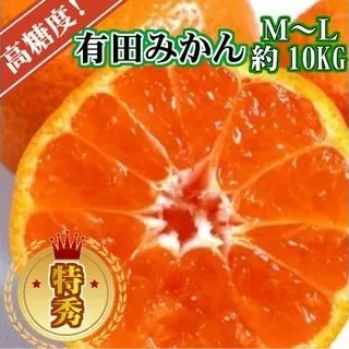 BD6034n_【２０２５年先行予約】高糖度 有田みかん 特秀品 10kg (M～Lサイズおまかせ)