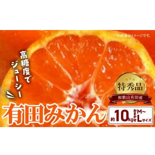 BD6034n_【２０２５年先行予約】高糖度 有田みかん 特秀品 10kg (M～Lサイズおまかせ)【ミカン 蜜柑 柑橘 温州みかん 有田みかん 和歌山】