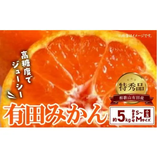 BD6035n_【２０２５年先行予約】高糖度 有田みかん 特秀品 5kg 小玉 (S～Mサイズおまかせ)