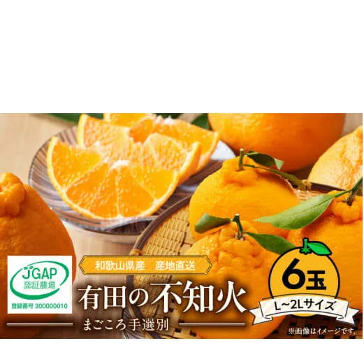 ZE6110n_【2026年先行予約】有田の不知火(しらぬひ)　6玉 （L～2Lサイズ）まごころ手選別