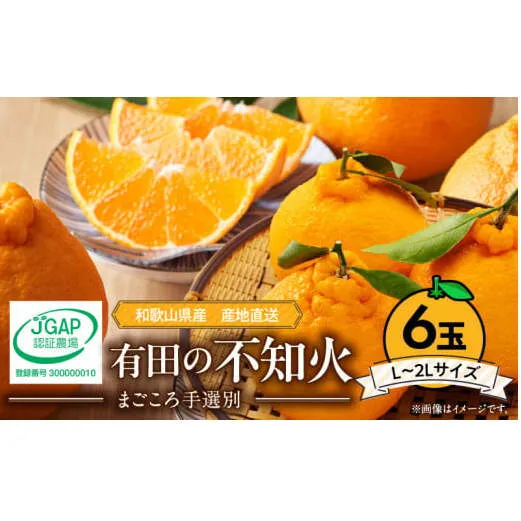 ZE6110n_【2026年先行予約】有田の不知火(しらぬひ)　6玉 （L～2Lサイズ）まごころ手選別