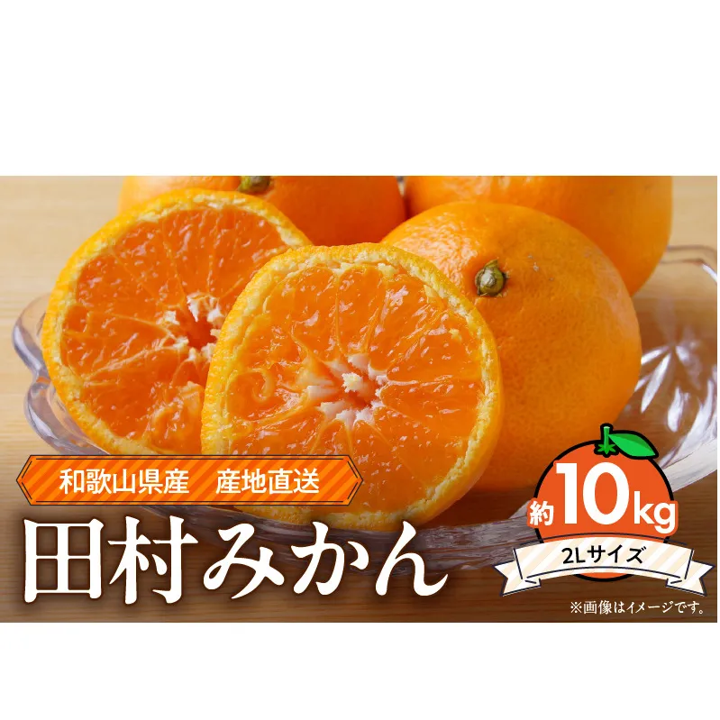 ZE6487_Y_【直営限定】【２０２５年先行予約】和歌山 湯浅町産 田村みかん 10kg【2L】