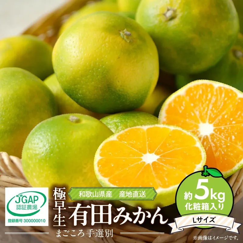 みかん037さま写真確認用です。