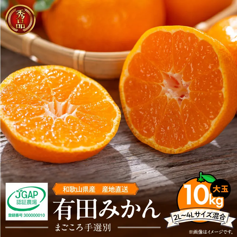 ZE6333n_【2025年先行予約】和歌山有田みかん10kg　2L～4Lサイズ混合 